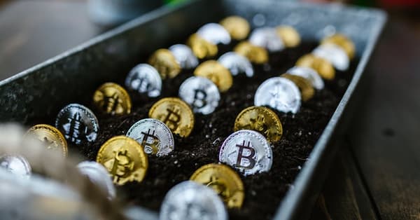 unlocking meme coin success security features