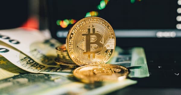 meme coins surge latest decentralized network