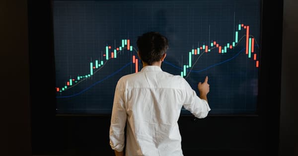 navigating meme coin craze investment strategy