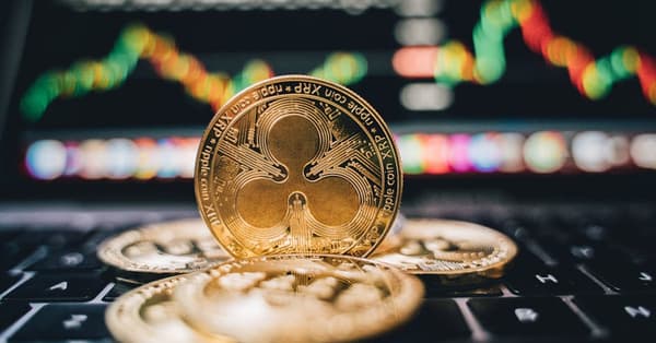 navigating bitcoins future insights decentralized network