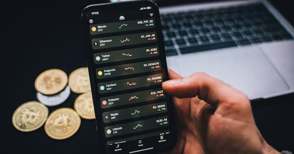 navigating crypto waves insights investment strategy
