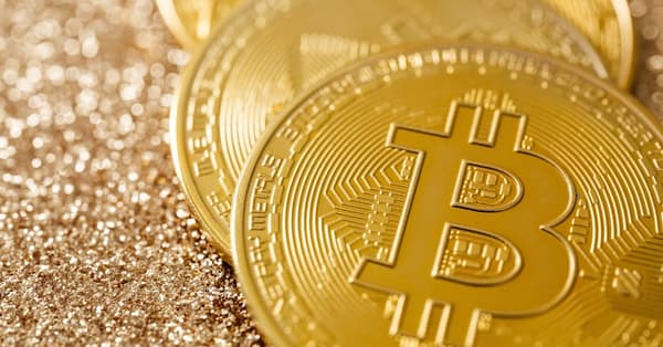 bitcoin resilience rise meme trading platform