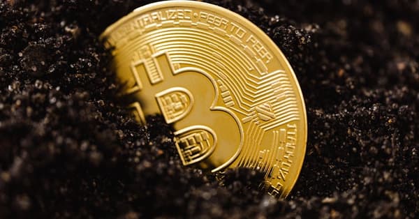 navigating bitcoins insights traders technology