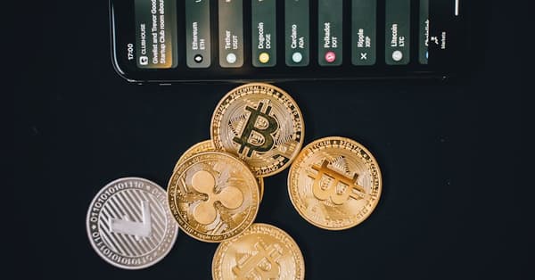 master meme coins trading blockchain network