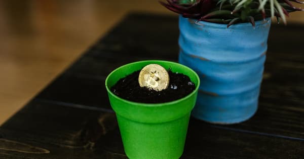 goldman sachs rise meme blockchain infrastructure