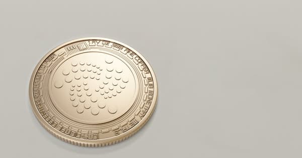 meme coin outlook surviving investment strategy