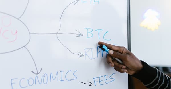 rise meme coins what concept