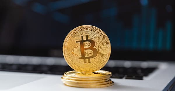 navigating burgeoning world meme wallet technology