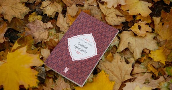 wlfi token plummets what crypto exchange