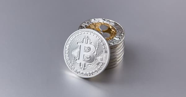 bitcoin altcoins whats future decentralized network