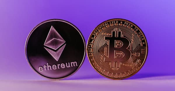 meme coins taking over future trends
