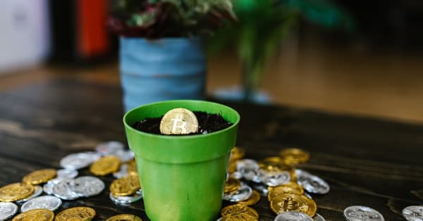 altcoins gaining momentum 2023 crypto adoption