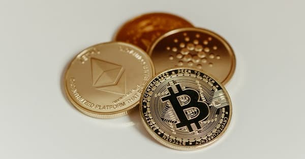 meme coins surge whats future trends