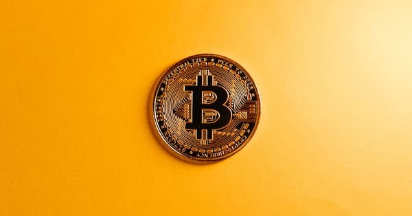 exploring altcoin community insights decentralized network