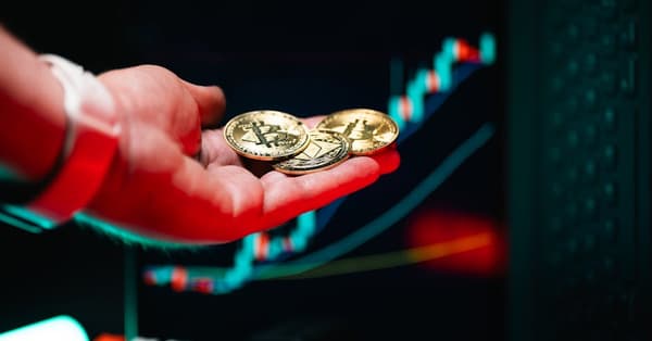 master meme coins trading decentralized network