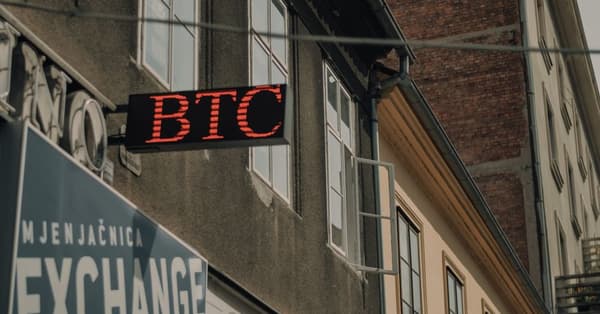 mastering meme coin craze decentralized network