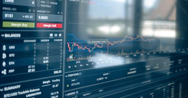 navigating meme coin craze blockchain network