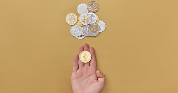 navigating bitcoins volatility opportunities decentralized network
